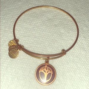 Alex and Ani Unexpected Miracles Bracelet